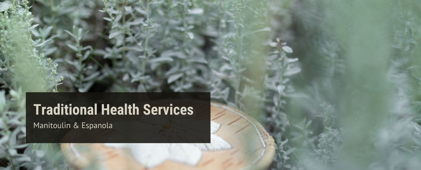 Traditional Health Services 