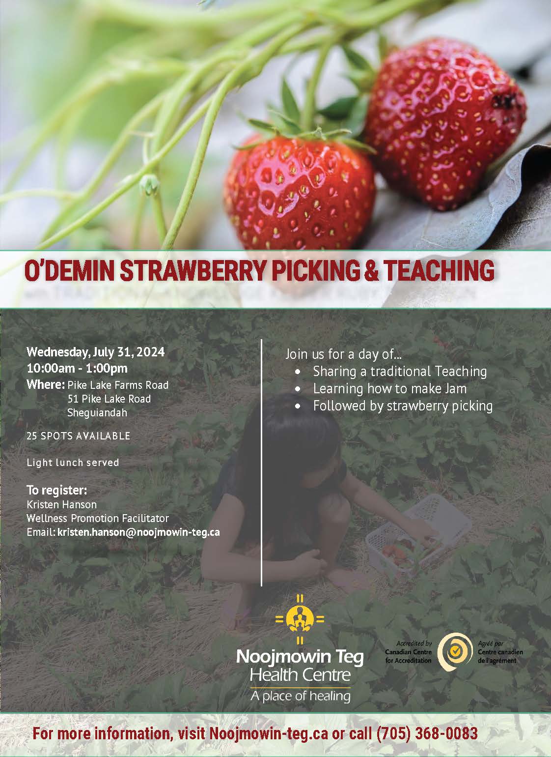 ODemin Strawberry Picking Teaching 2024 2